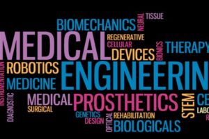 Biomedical engineering